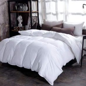 Down Duvet, Winter Duvet, Goose Down Duvet Core, Air Conditioner - Image 1