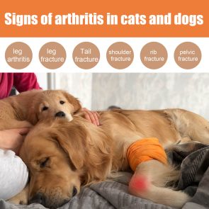 Pet Bee Joint Oil For Dogs & Cats, Joint Support Supplement Oil Relief Joint Discomfort, Improve Mobility & Repair Joint Tissue, 30ml - Image 7