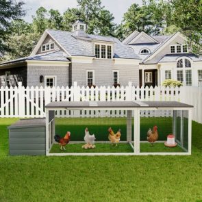 20.93ft Large Wooden Chicken Coop Outdoor Hen House With Nesting Box Weatherproof Asphalt Roof Walk In Poultry Cage With Secure Locks Metal Mesh Run For Farm Use - Image 5