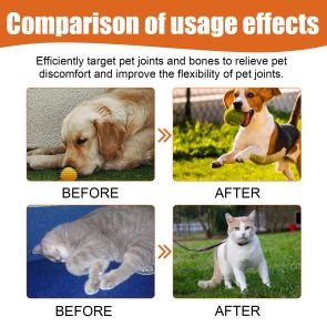 Pet Bee Joint Oil For Dogs & Cats, Joint Support Supplement Oil Relief Joint Discomfort, Improve Mobility & Repair Joint Tissue, 30ml - Image 3